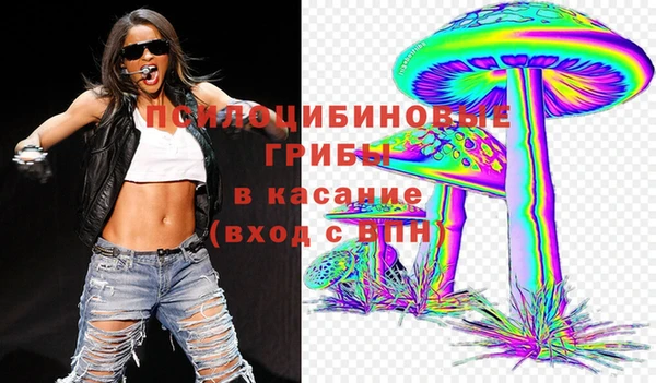 экстази Дмитриев