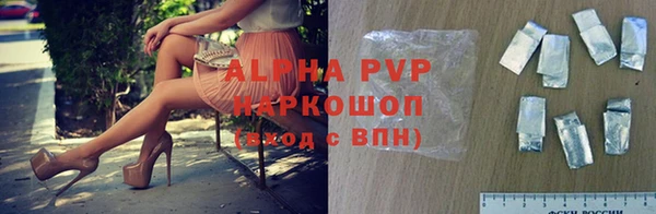 стаф Медвежьегорск