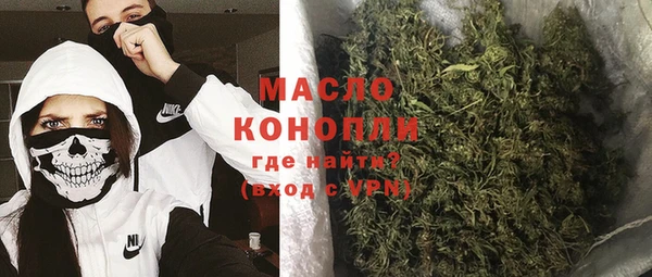 крисы Мегион