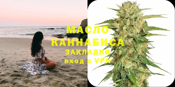 крисы Мегион