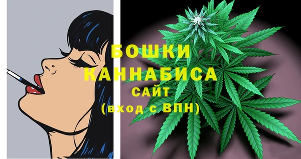 стаф Медвежьегорск