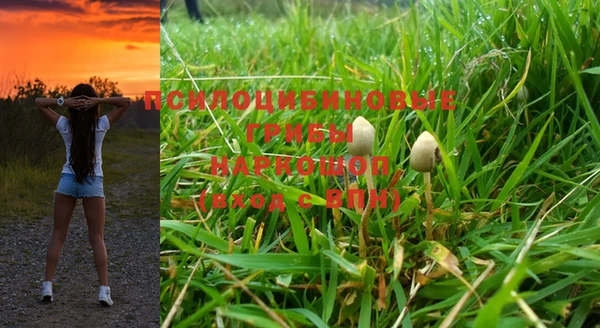 крисы Мегион