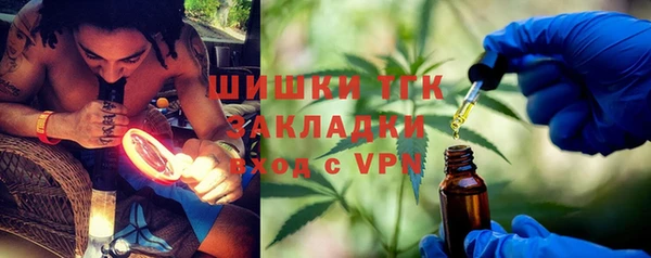 крисы Мегион