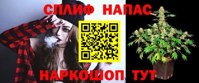 гашик Беслан