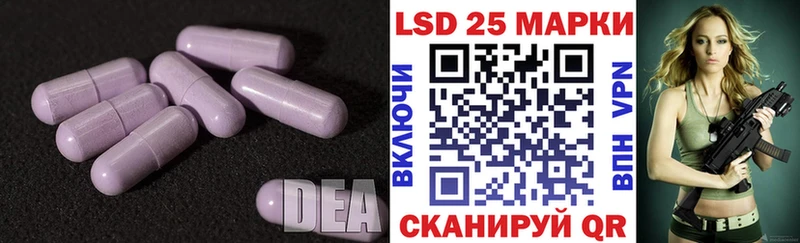 магазин продажи наркотиков  Елизово  Лсд 25 экстази ecstasy 