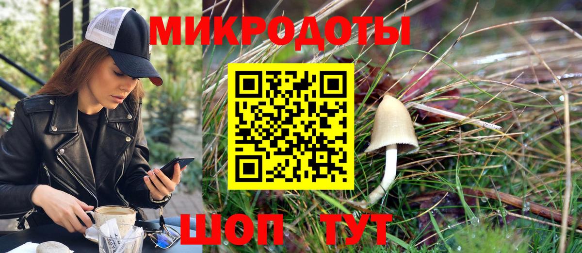купить наркотики цена  Вход с VPN  Елизово  Псилоцибиновые грибы GOLDEN TEACHER 