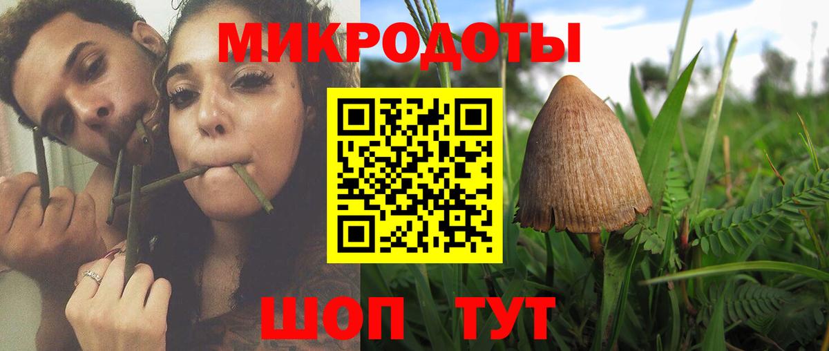 Галлюциногенные грибы Cubensis Елизово