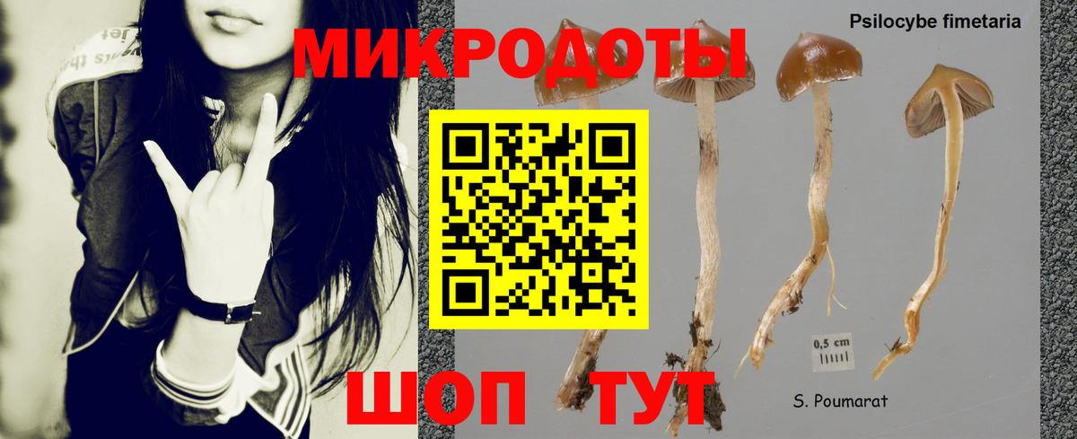 Галлюциногенные грибы Magic Shrooms Елизово